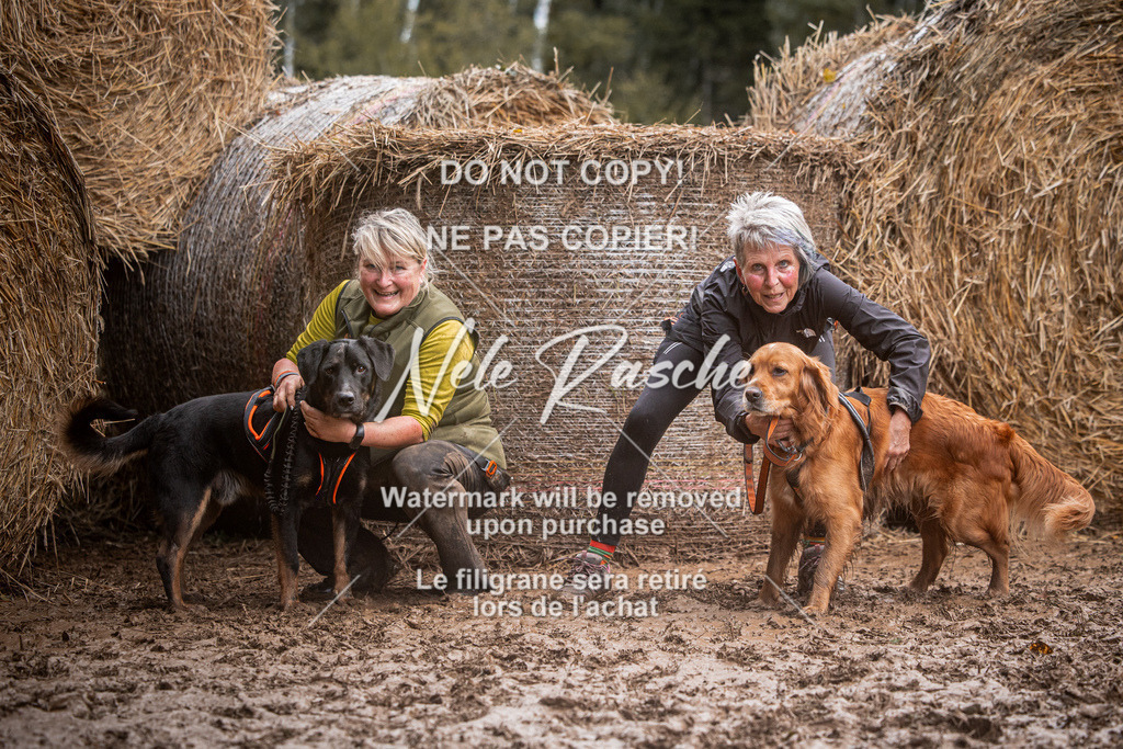 nelerasche_Hunsrück_So09-11_17 | nelerasche