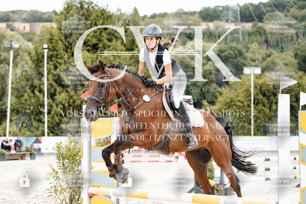 CK908525 | Turnierfotografie Pferdefotografie Trier Rheinland-Pfalz Pferdesport Reitsport Tierfotografie Sportfotografie Pferdevideo Pferdevideografie Equestrianvideography equestrianphotography  - Realisiert mit Pictrs.com