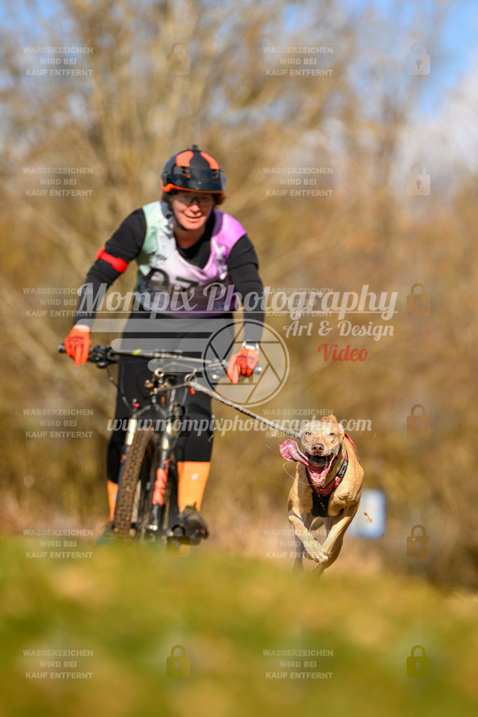 MompixPhotography_10Schwabentrail2026_SO_Bike-41 | PayLife