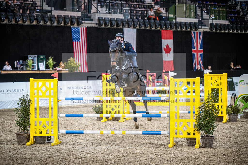 DOS_1096 | Entdecke hochwertige Reitturnierfotos von Foto Oger. Professionell, emotional und authentisch – jetzt Lieblingsmomente im Shop bestellen.Deutschlandweite Turnierfotografie. - Realisiert mit Pictrs.com
