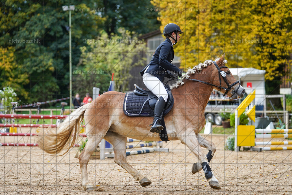 20221009-FAH08390 | Diessen am Ammersee, 2022, Dressur- und Springturnier, Reitsportbilder, Turnierfotografen Bayern, Pferdefotografen, Fotoagentur Herrmann, Turnierbilder