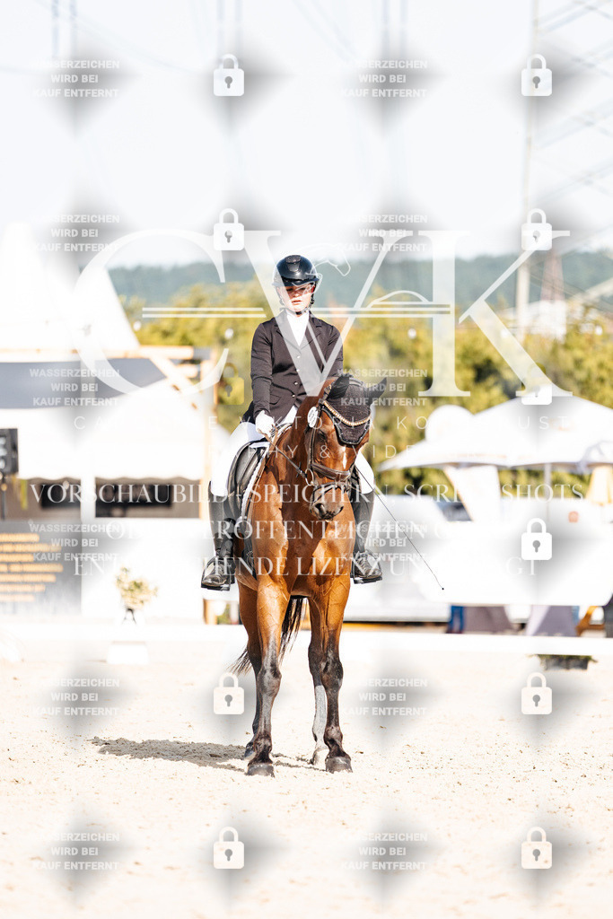 CK905677 | Turnierfotografie Pferdefotografie Trier Rheinland-Pfalz Pferdesport Reitsport Tierfotografie Sportfotografie Pferdevideo Pferdevideografie Equestrianvideography equestrianphotography  - Realisiert mit Pictrs.com