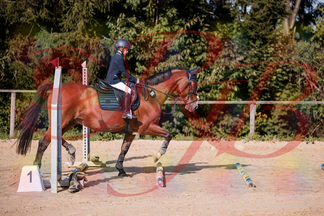 2026_10_03_Siefer-Hof_143734_Z81_06292706 | Professionelle Reitsport-, Turnier- und Eventfotografie von Robert Broda. Galerien mit ausgewählten und bearbeiteten Bildern direkt online ansehen und bestellen.