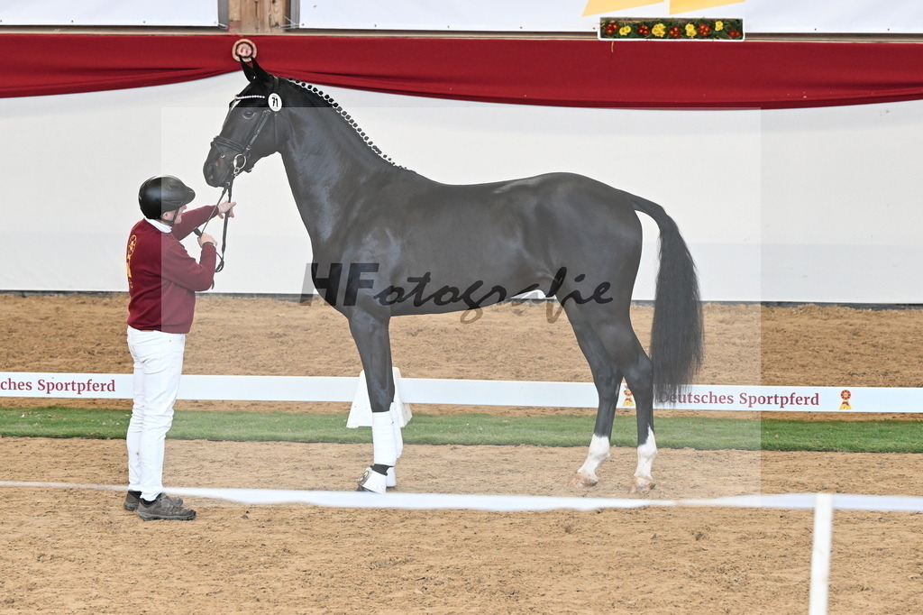 Kat.-Nr. 71 v. Jameson RS2_Greim_2250589 | hf-fotografie - Realisiert mit Pictrs.com