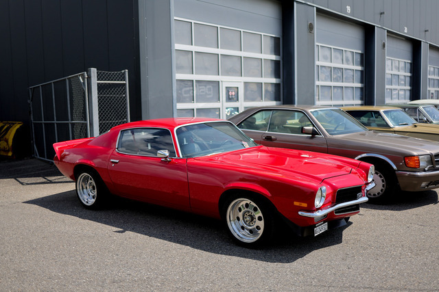 Calag_Oldtimer2025-25 | Ich fotografiere Hundeausstellungen, Sportanlässe, Zuchtstätten, Hundezucht, Hundeportrait, Lagotto - Realisiert mit Pictrs.com