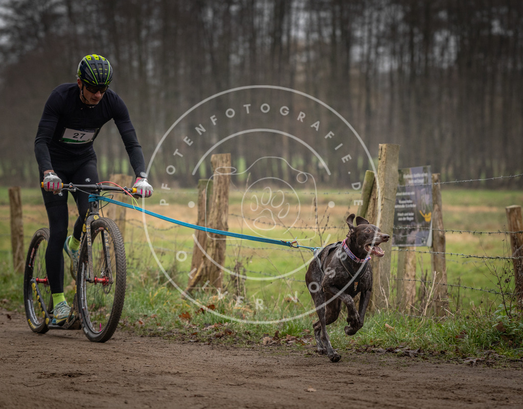 Pfotenfotografie_DV3A2170 | Hundefotografie, Tierfotograf, Pfotenfotografie, Fotoshooting Hund, Hunde Portrait, Hundesport, Hundeportraits, Heideshooting, Hunde, Sportfotograf, Hundefotograf, Turnierhundsport, THS,  - Realisiert mit Pictrs.com