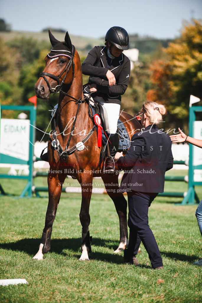 DSC_2627 | Pferde- und Turnierfotografie in Westsachsen. Pferdeportraits, Auftragszeichnungen und intuitive Kunst.