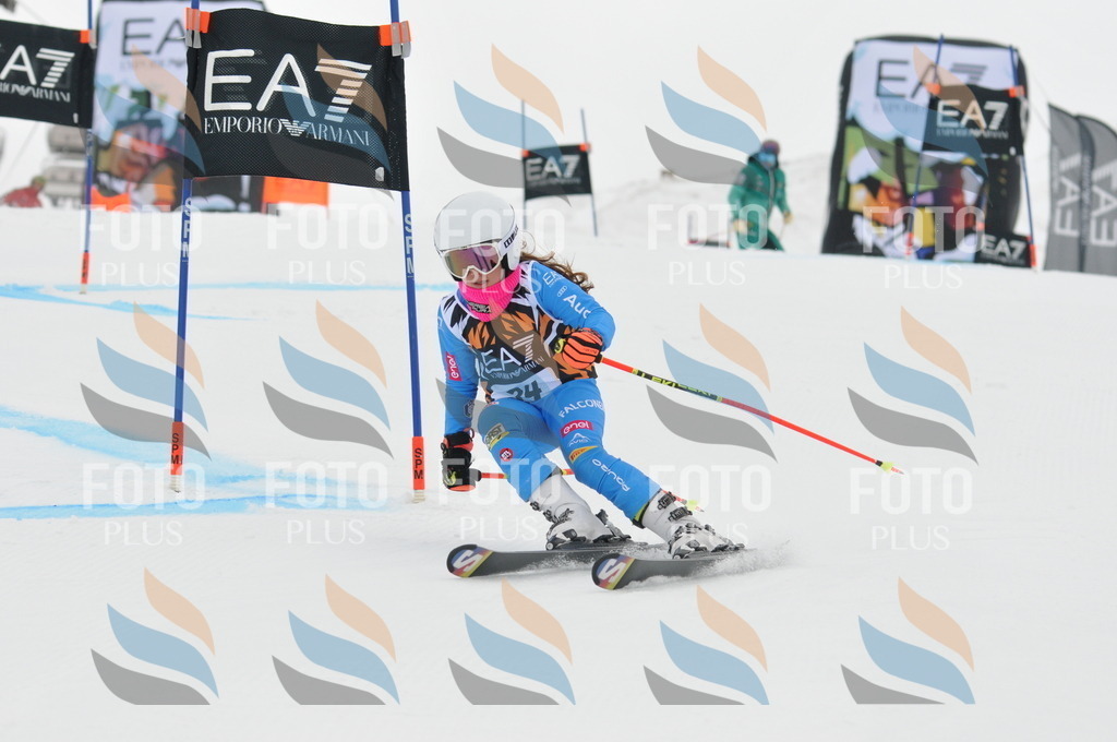 DSC_7585 | holidayphoto