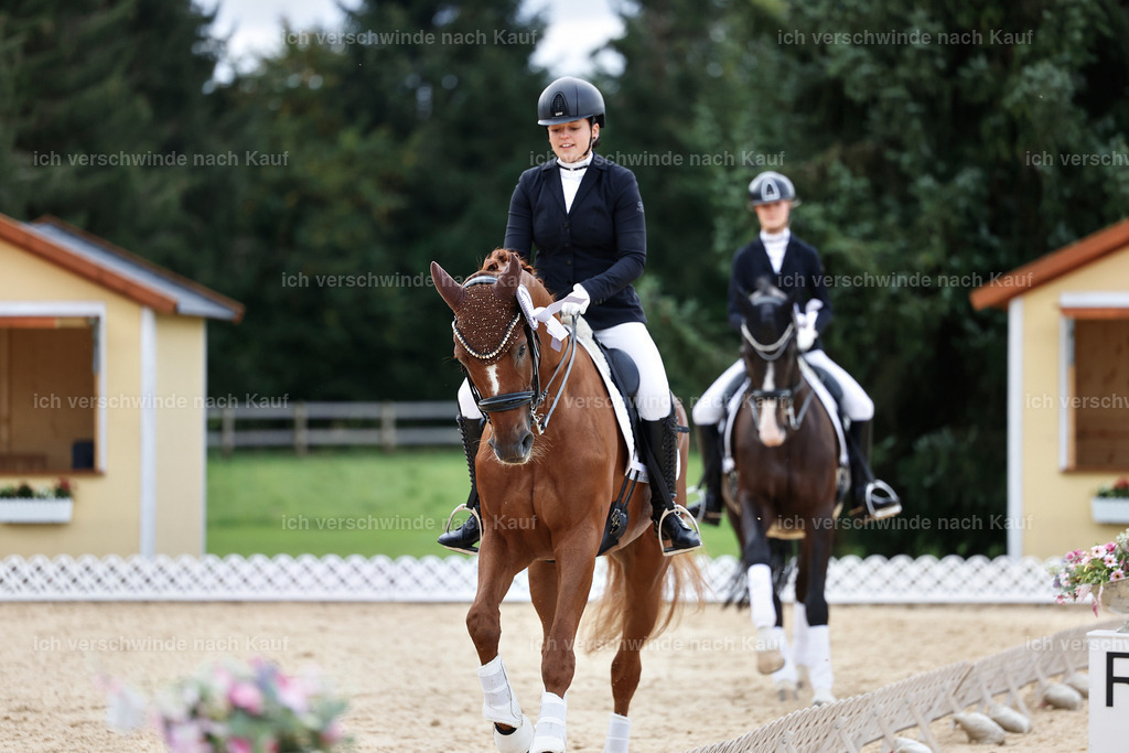 3-Siegerehrung-Dressur M_-StoibPH-2583 | working equitationturnier fotograf videograf stoibphotography marixx film working equitation deutschland reitsport turnierfotografie eventfotografie equestrian events