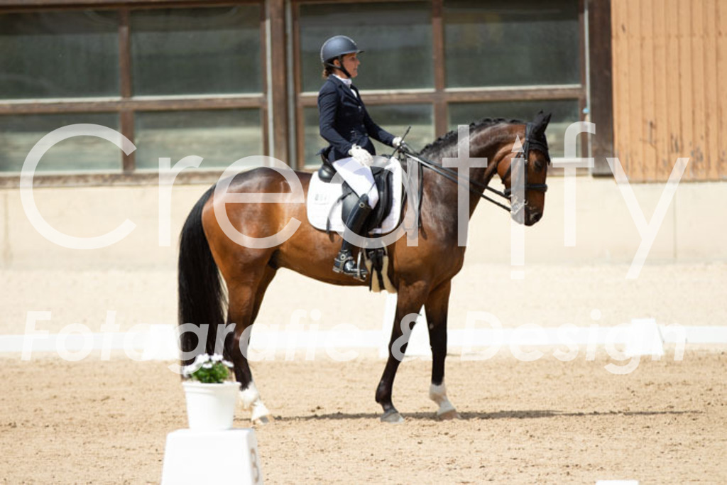 IMG_5940 | Creatify Fotografie