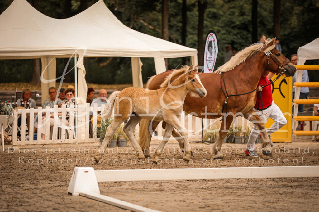 SaHF00032 | Leoni Ertmer Photography - Realisiert mit Pictrs.com