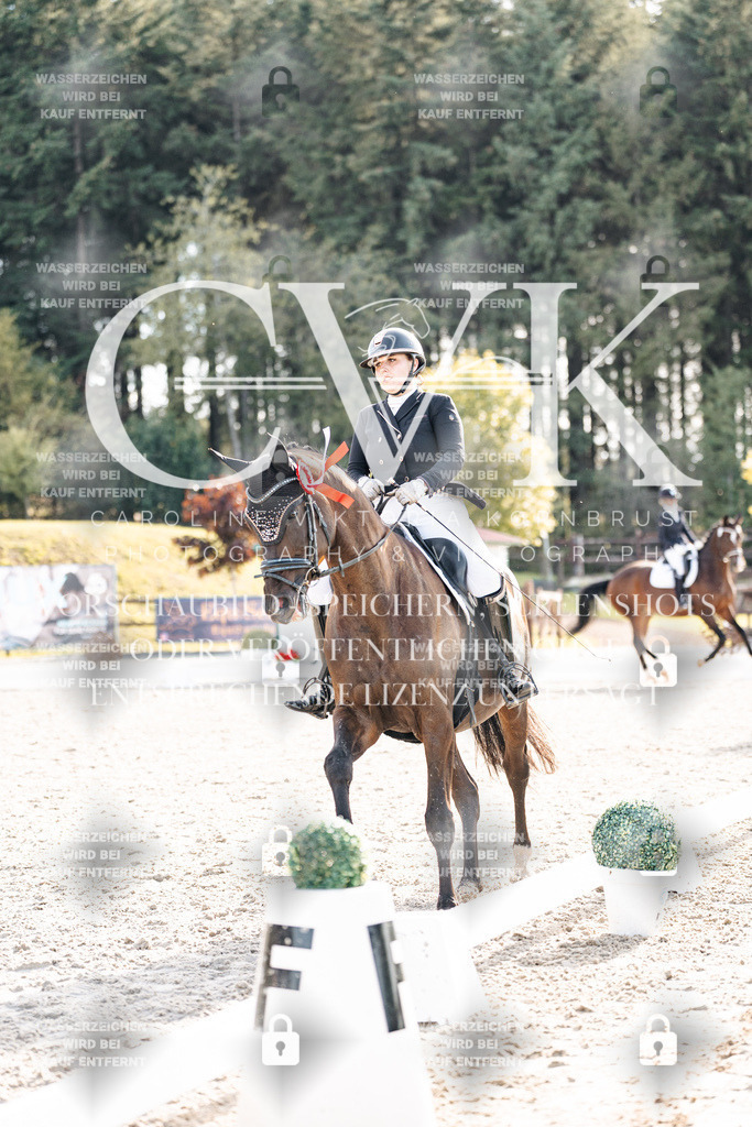 CK901806 | Turnierfotografie Pferdefotografie Trier Rheinland-Pfalz Pferdesport Reitsport Tierfotografie Sportfotografie Pferdevideo Pferdevideografie Equestrianvideography equestrianphotography  - Realisiert mit Pictrs.com