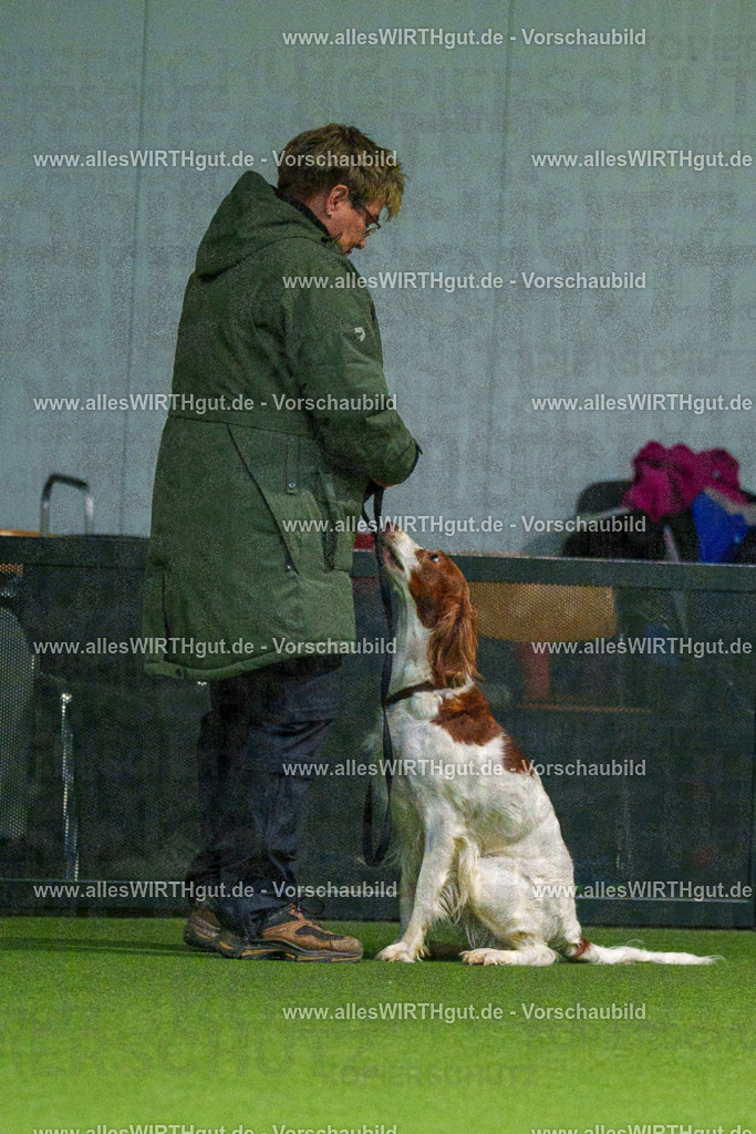 7R504782 | Professionelle Tierfotografie in Mönchengladbach von Daniel Wirth (allesWIRTHgut). Liebevolle & natürliche Bilder von Hunden & Katzen für unvergessliche Erinnerungen.