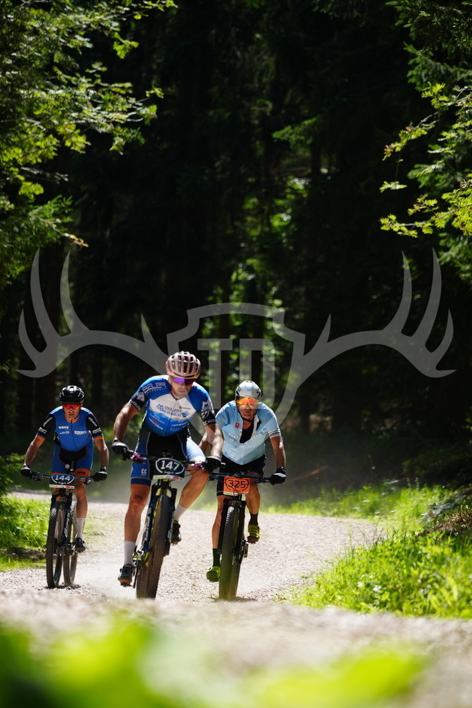 FC102347 | Fotogalerie der Treibjagd im Dunkelwald - Dein MTB Etappenrennen im Erzgebirge - Realisiert mit Pictrs.com