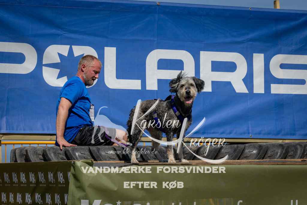 1353_ZZ99535 | kk-dogfotos