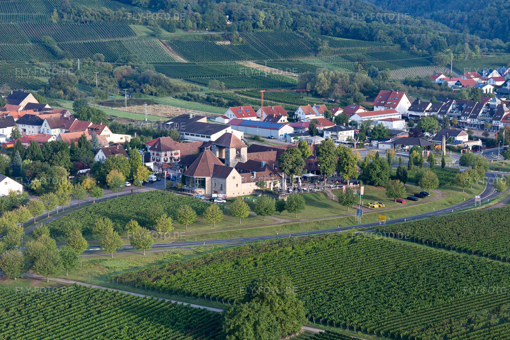 Luftbild: Schweigen, Weintor im Ortsteil Schweigen in Schweigen-Rechtenbach im Bundesland Rheinland-Pfalz in Deutschland. Foto: IMG_103271.jpg vom 10.09.2017 durch Werner Riehm/FLY-FOTO.de