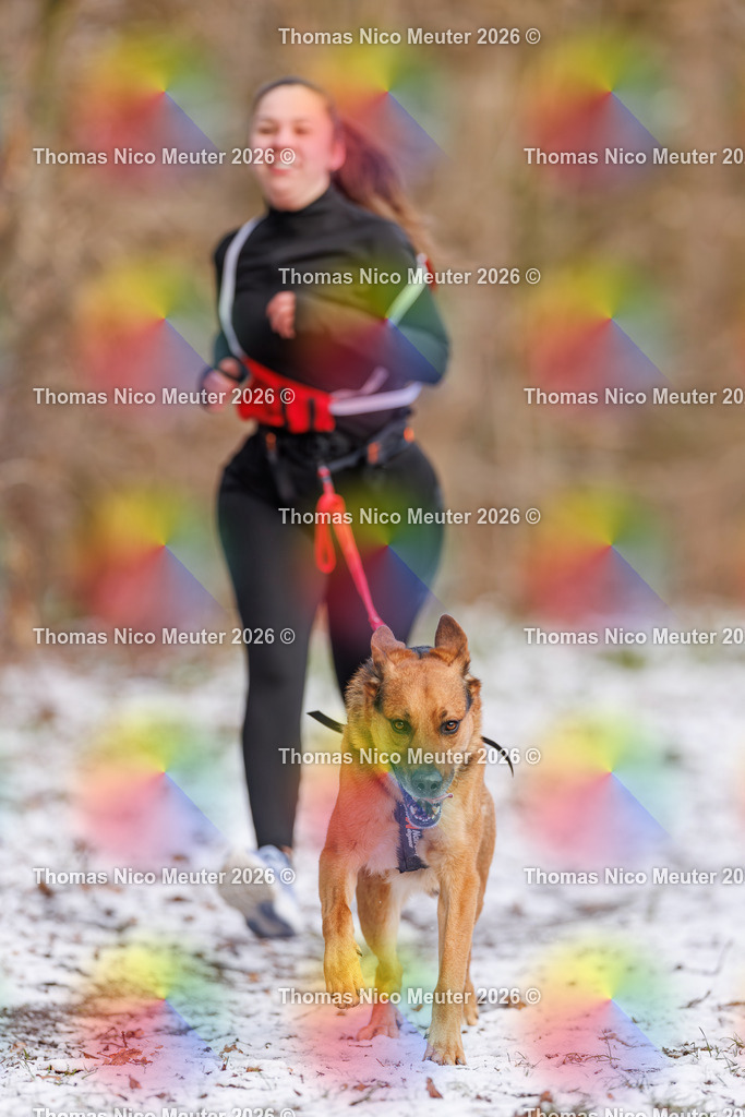 Thomas_Nico_Meuter(C)_223A8550 | Bild von Thomas Nico Meuter - Realisiert mit Pictrs.com