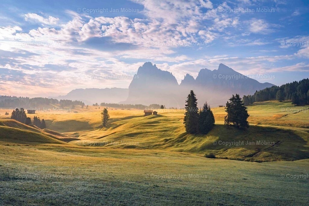 _DSC2125 | Leipzig Wandbilder Drucke Prints Leinwand Stadtmotive Leipzig Fotosdruck Kunstdrucke Bilder Leipzig Stadtansichten Acrylglasbilder Leipzig Wanddeko Fine Art Prints Wandbilder Büro Leipzig Bilder Praxis Zuhause Bilderdruck Poster Posterlounge Kunstdrucke - Realisiert mit Pictrs.com