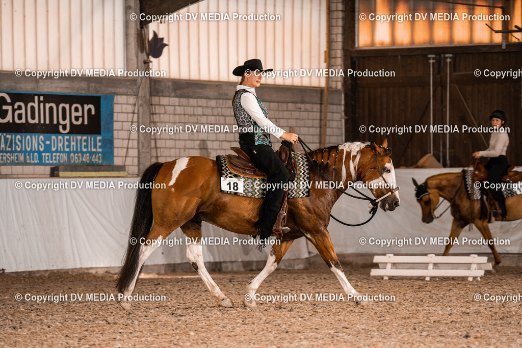 ZH200610 | dv-media-shop - Realisiert mit Pictrs.com