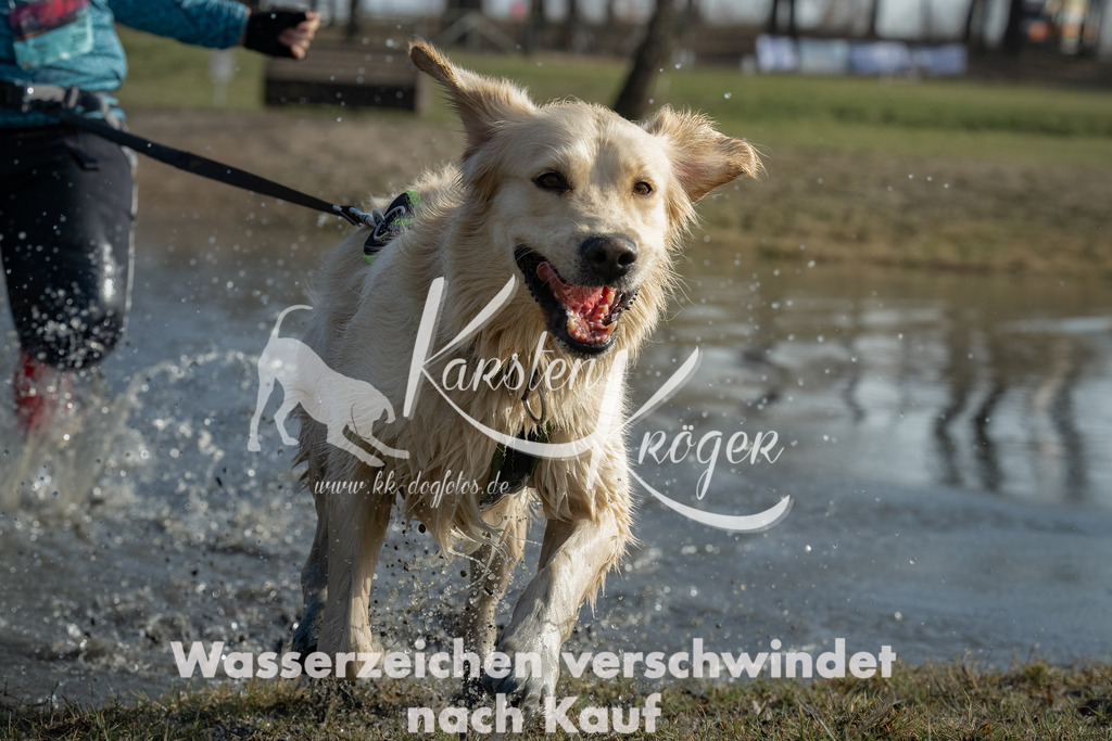 1401_ZZ99572-Bearbeitet | kk-dogfotos