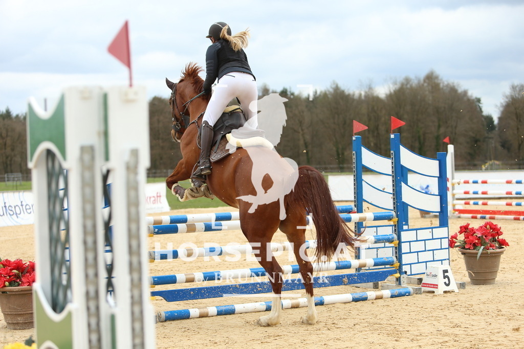DL2Q2114 | Willkommen bei Brunnmayr - Design & Fotografie – Ihrem Spezialisten für Reitturniere und Pferdeveranstaltungen in Oberösterreich, Salzburg und Bayern! Seit über 17 Jahren sind wir leidenschaftlich dabei.