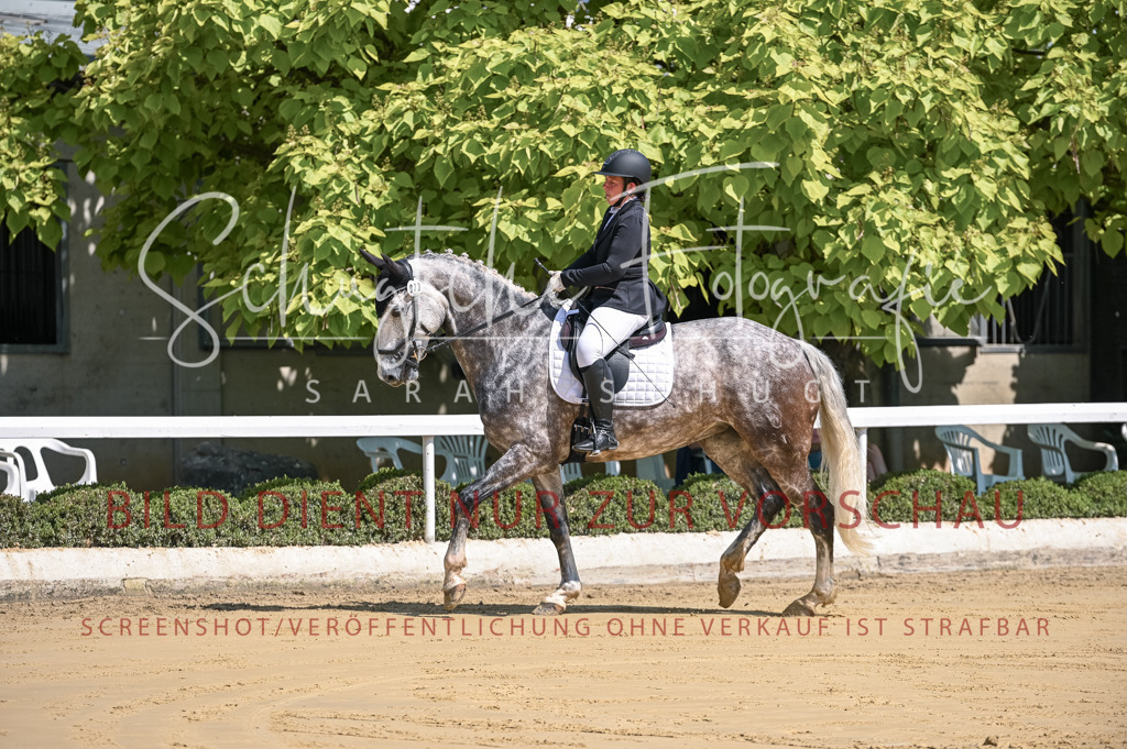 Schugtsche-Aluta25-53.Amat.Dressurprf.A2-1 | Schugtsche Fotografie - Realisiert mit Pictrs.com