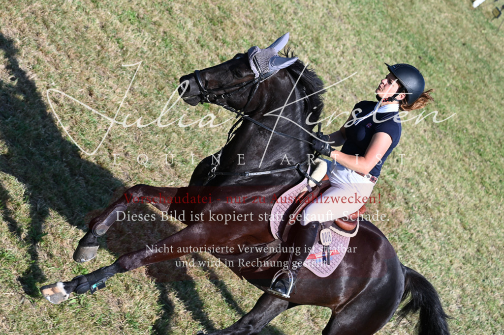 DSC_2467 | Pferde- und Turnierfotografie in Westsachsen. Pferdeportraits, Auftragszeichnungen und intuitive Kunst.