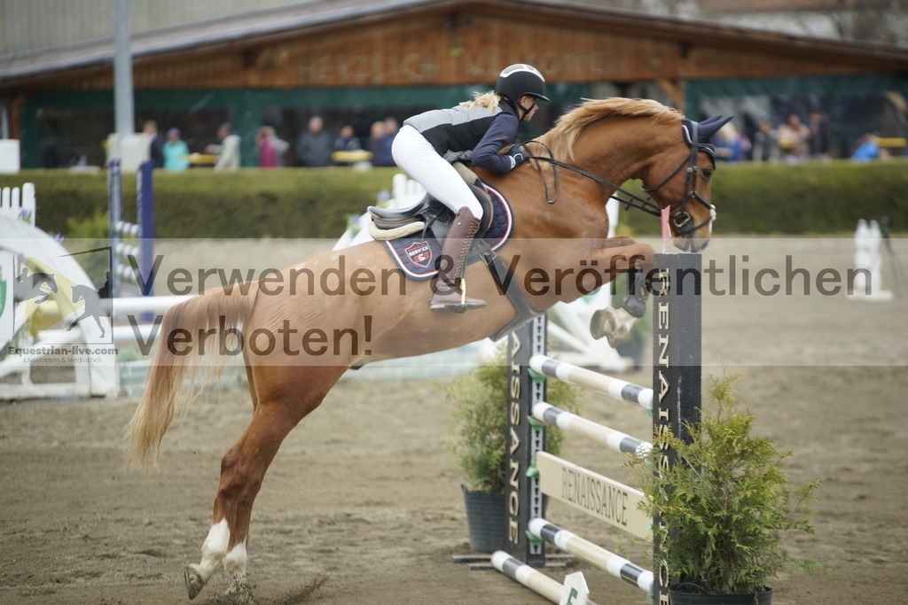 _DSC7334 | equestrian-live-com
