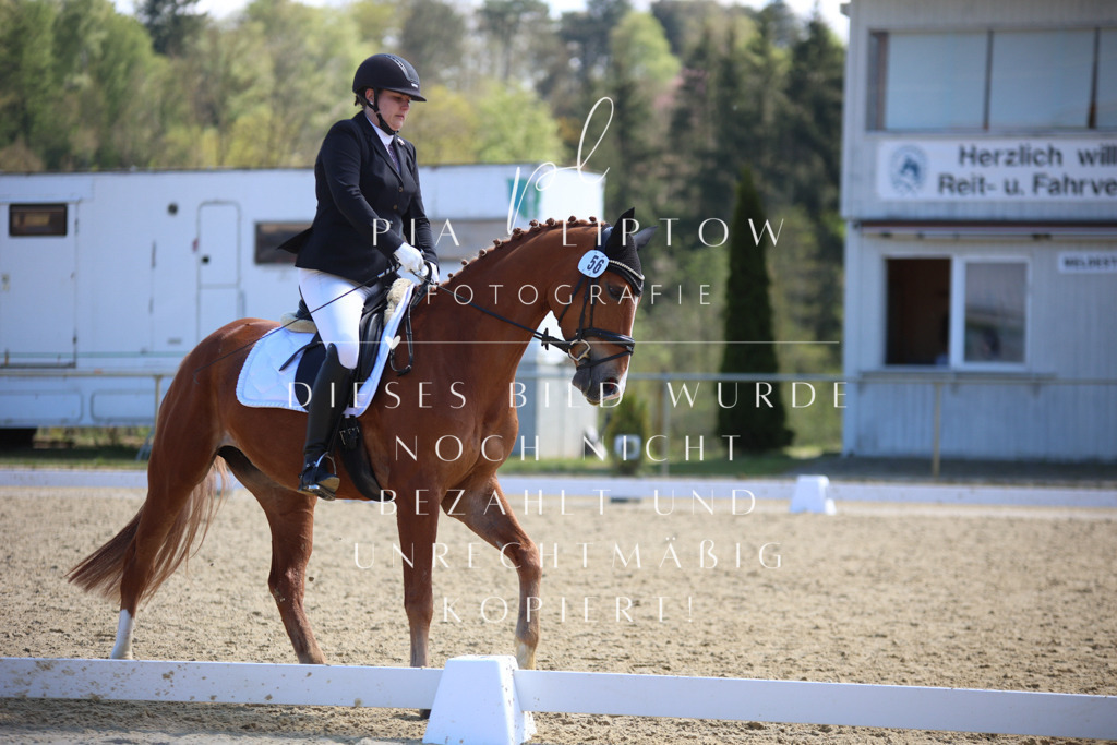 IMGT2204 | pl-fotografie