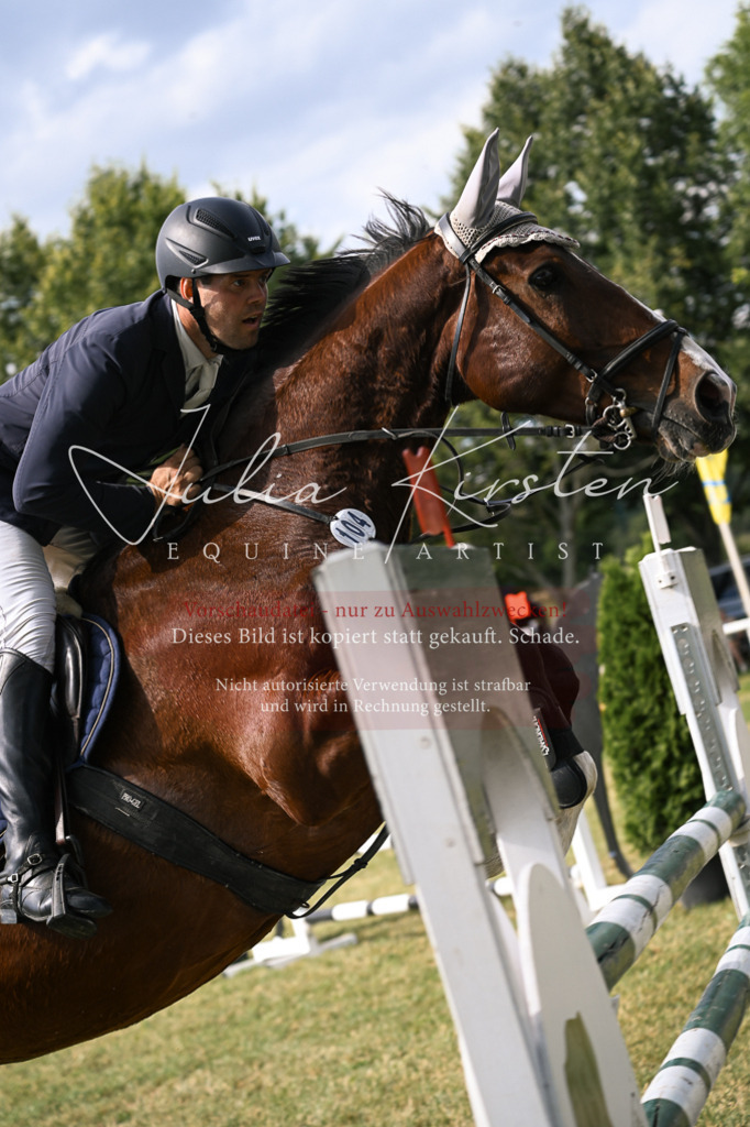 DSC_0787 | Pferde- und Turnierfotografie in Westsachsen. Pferdeportraits, Auftragszeichnungen und intuitive Kunst.