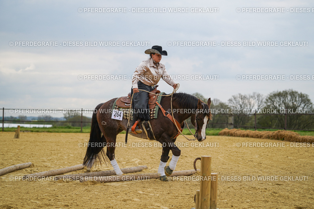 DSC07454 | Pferdegrafie