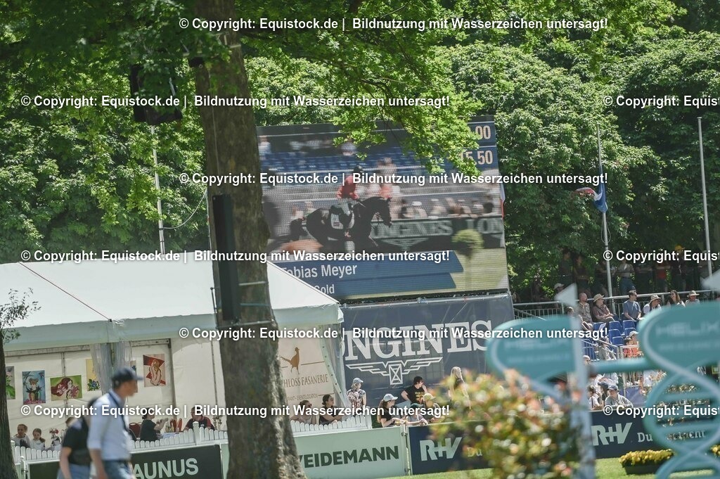 20230529_18_CSI4_Obermayr_0019 | equistock