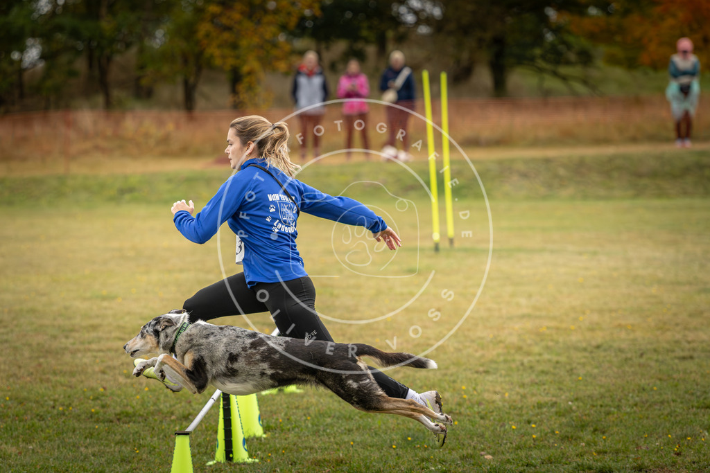 Pfotenfotografie_DV3A2860 | Hundefotografie, Tierfotograf, Pfotenfotografie, Fotoshooting Hund, Hunde Portrait, Hundesport, Hundeportraits, Heideshooting, Hunde, Sportfotograf, Hundefotograf, Turnierhundsport, THS,  - Realisiert mit Pictrs.com
