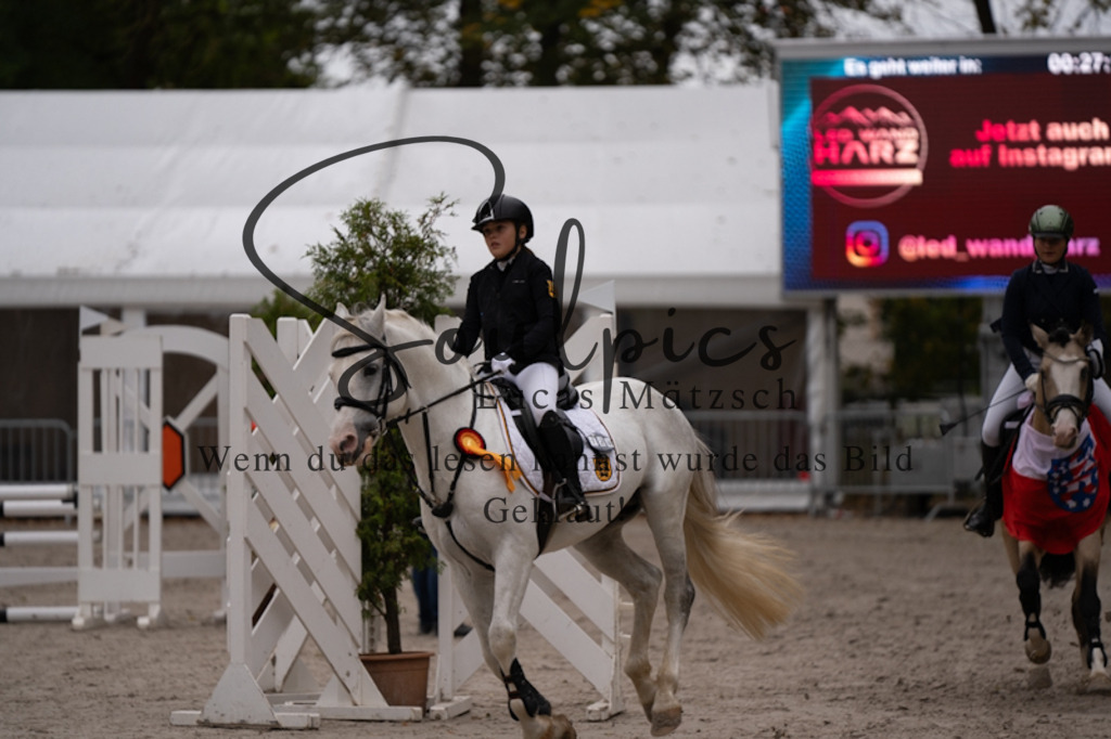 A7V09823 | Pferdefotograf