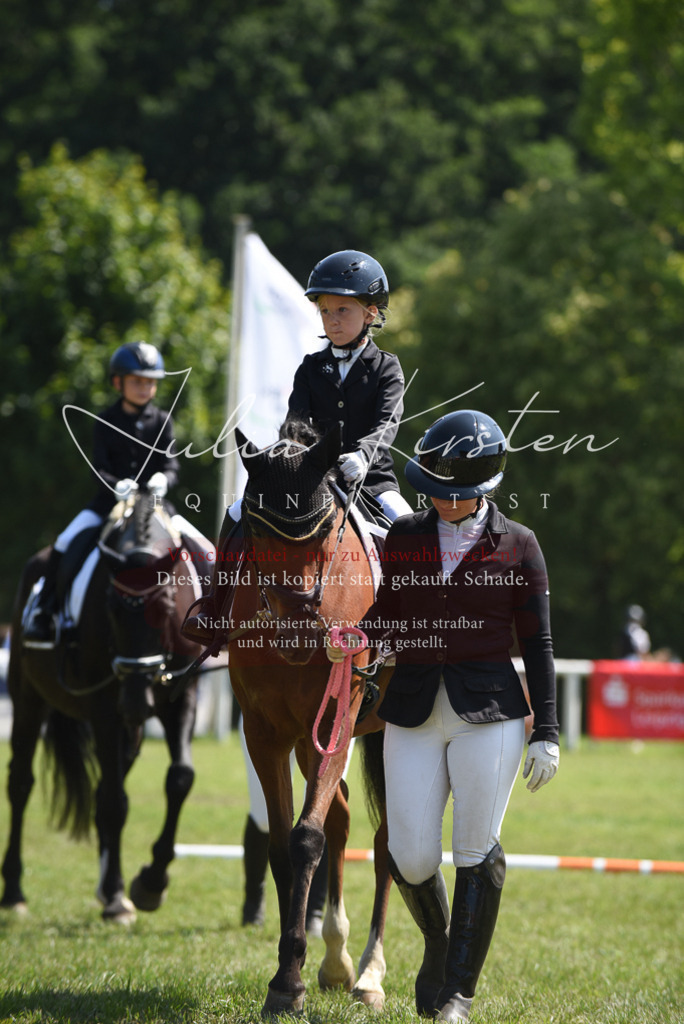 DSC_9814 | Pferde- und Turnierfotografie in Westsachsen. Pferdeportraits, Auftragszeichnungen und intuitive Kunst.