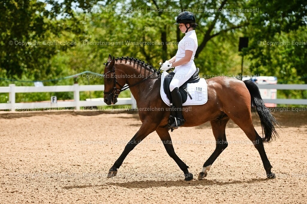 20230715_05_Dressurprüfung Kl.A++_0029 | equistock