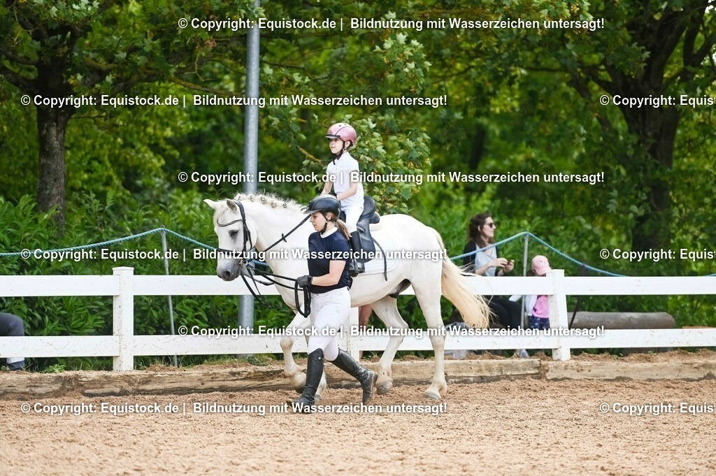 20230716_11_Führzügel-WB_0150 | equistock