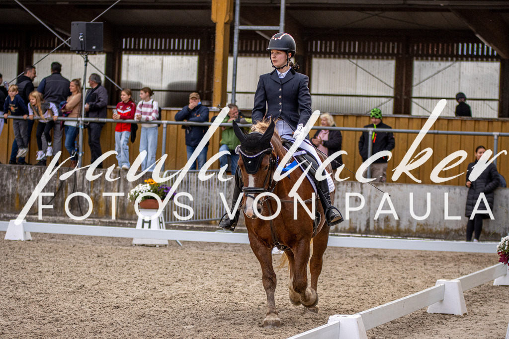 IMG_3534 | Erleben Sie dynamische Sport- und emotionale Tierfotografie in Süddeutschland mit Fotos von Paula. Spezialisiert auf Pferde- und Hundefotografie sowie Sportevents. Kontaktieren Sie mich für einzigartige und ausdrucksstarke Bilder Ihrer besonderen Momente.