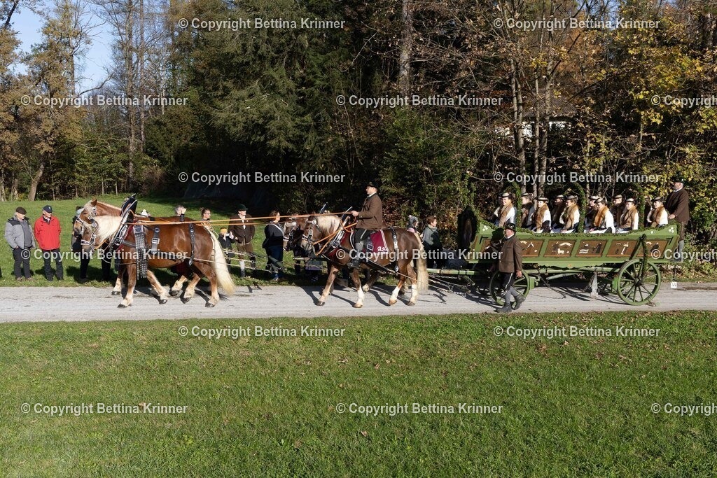 LBT24-728 | foto-bettina-krinner - Realisiert mit Pictrs.com