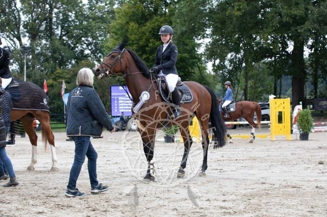 2B4A2357 | pixelfaenger - Realisiert mit Pictrs.com