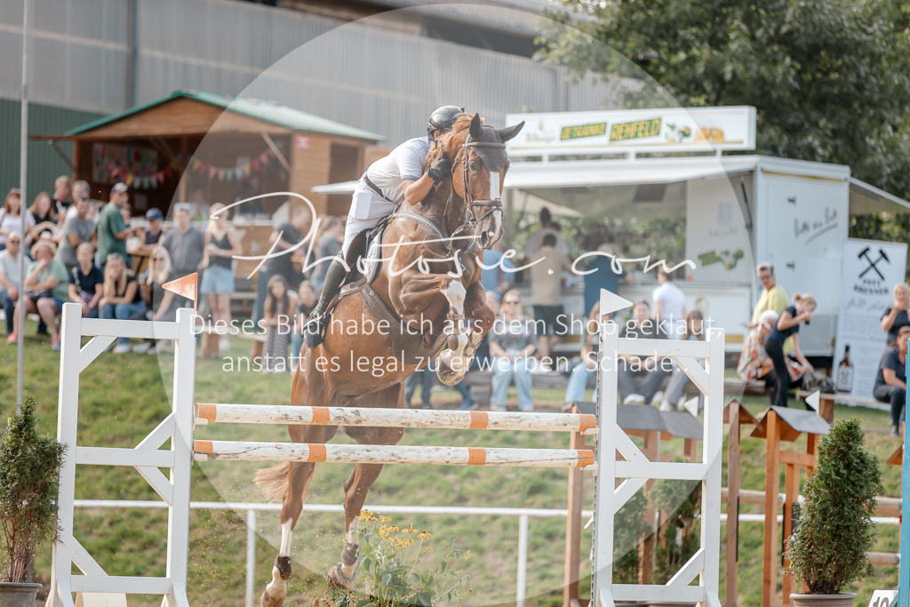 3I6A5176 | Stimmungsvolle Portraits und Reitsportfotografie im Ruhrgebiet und im Münsterland.

Pferdefotografie, Hundefotografie, Tierfotografie, Reportagen, Portraits von Tier und Mensch, Turnierfotografie in Bochum, Recklinghausen, Marl, Haltern am See, Dülmen.. - Realisiert mit Pictrs.com
