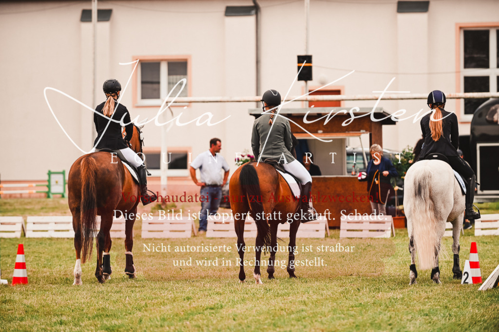 DSC_6987 | Pferde- und Turnierfotografie in Westsachsen. Pferdeportraits, Auftragszeichnungen und intuitive Kunst.