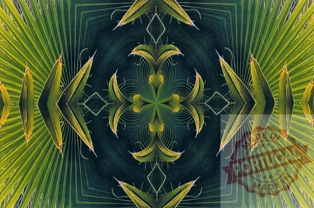Green palm leaves creating a beautiful kaleidoscope pattern | Symmetrical tropical background forming a beautiful decorative pattern with green palm leaves - Realized with Pictrs.com