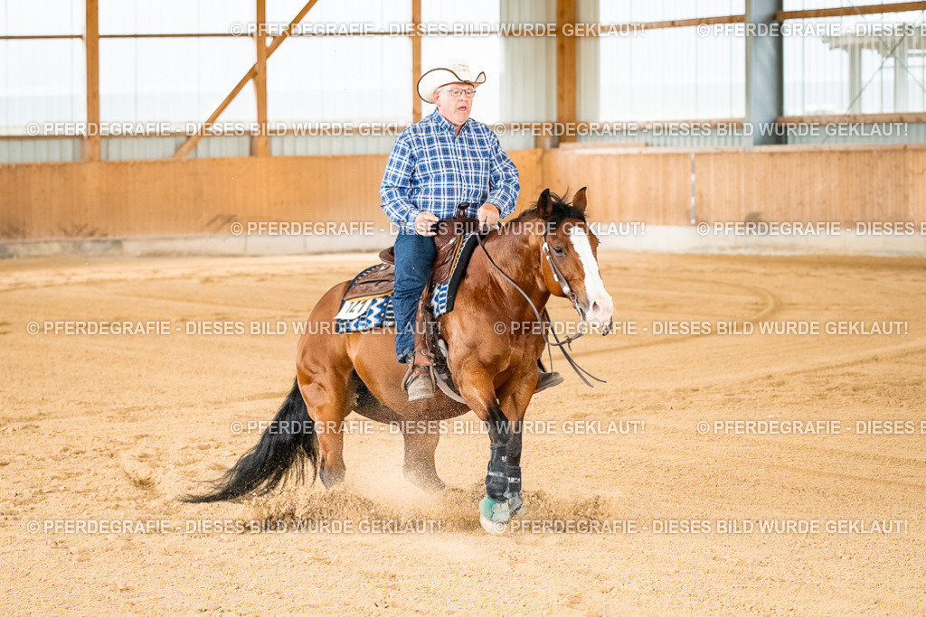 DSC01773 | Pferdegrafie