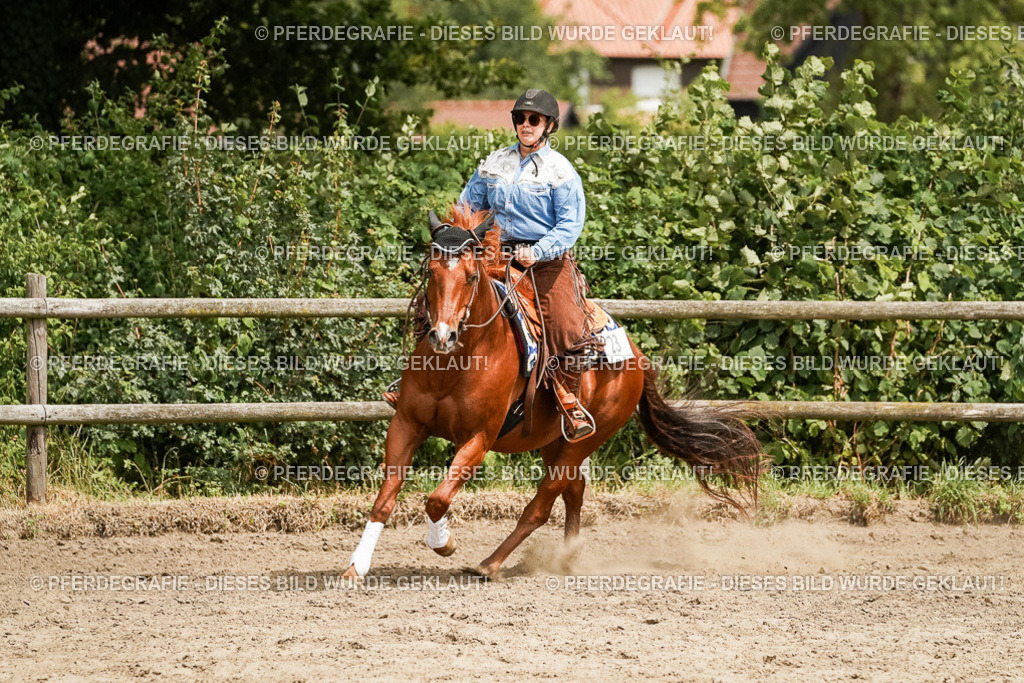 DSC00128 | Pferdegrafie