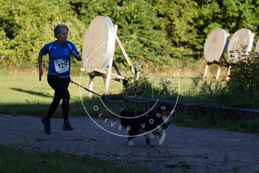 0L8A4770 | Hundefotografie, Tierfotograf, Pfotenfotografie, Fotoshooting Hund, Hunde Portrait, Hundesport, Hundeportraits, Heideshooting, Hunde, Sportfotograf, Hundefotograf, Turnierhundsport, THS,  - Realisiert mit Pictrs.com