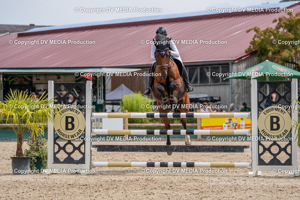 Hessische Tag 1-1407 | dv-media-shop - Realisiert mit Pictrs.com