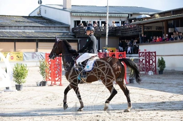 2B4A3776 | pixelfaenger - Realisiert mit Pictrs.com