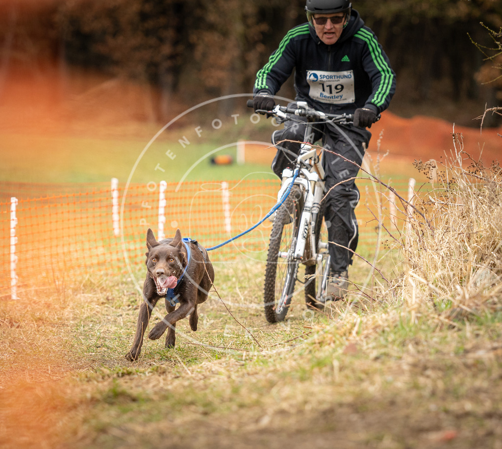 DV3A1024 | Hundefotografie, Tierfotograf, Pfotenfotografie, Fotoshooting Hund, Hunde Portrait, Hundesport, Hundeportraits, Heideshooting, Hunde, Sportfotograf, Hundefotograf, Turnierhundsport, THS,  - Realisiert mit Pictrs.com