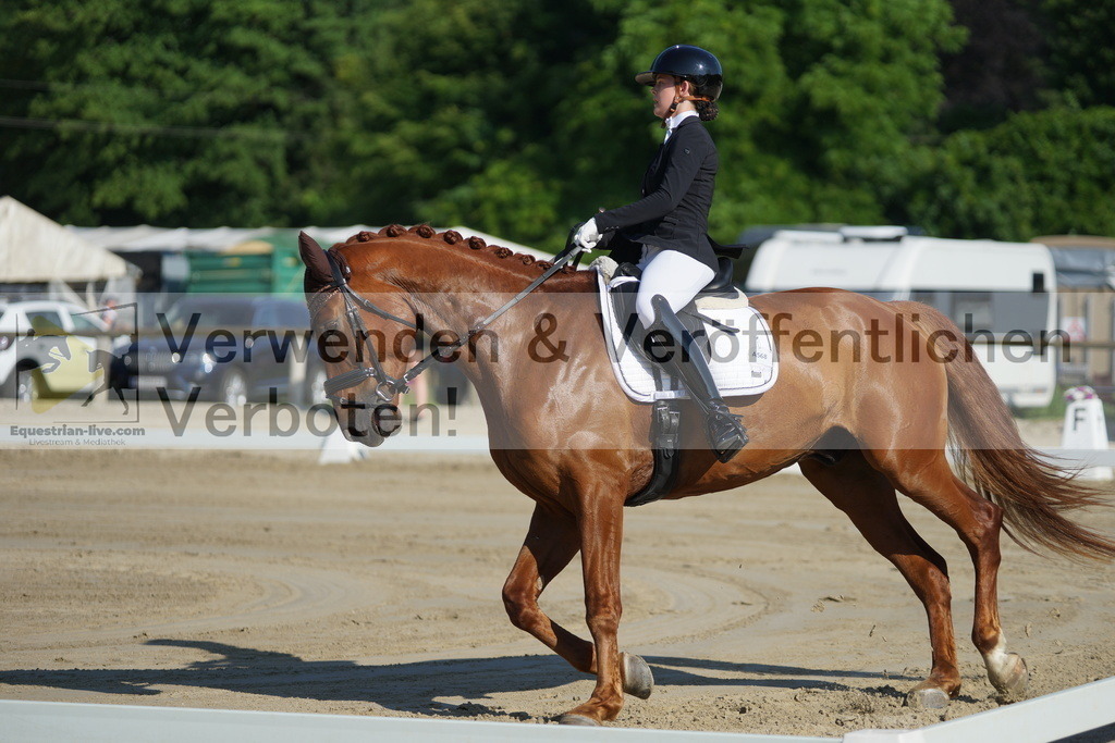 DSC03999 | equestrian-live-com